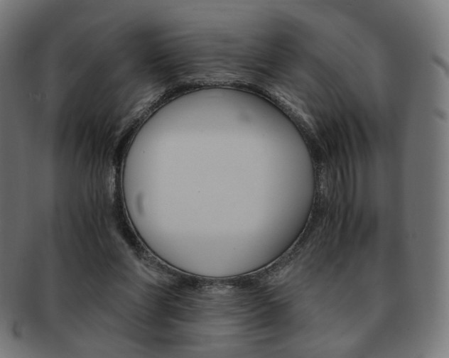 X0000092020206200709061336