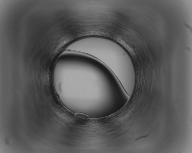 X0000092020207200709061336