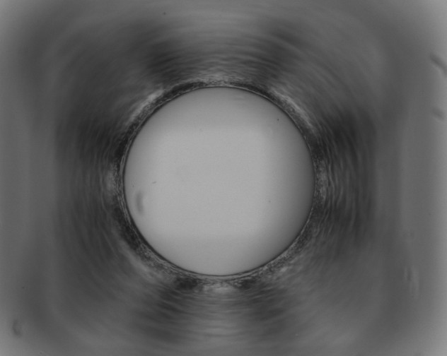 X0000092020208200709061336