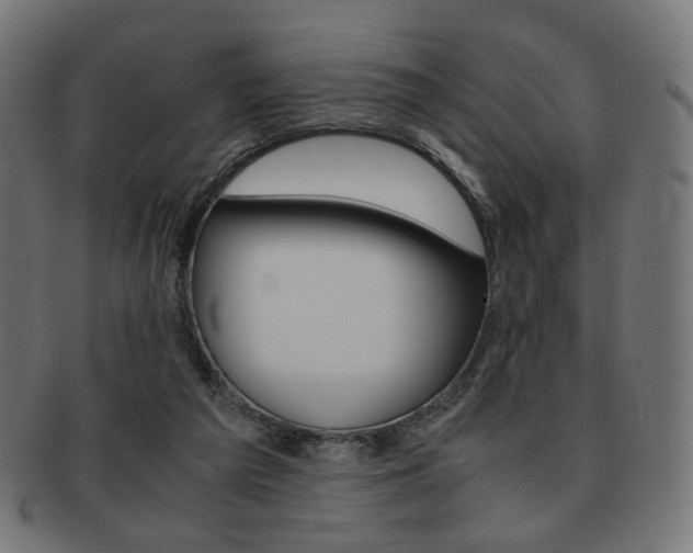 X0000092020209200709061336