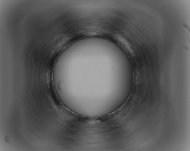 X0000092020210200709061336