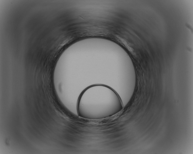X0000092020211200709061336