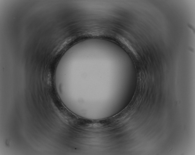 X0000092020212200709061336