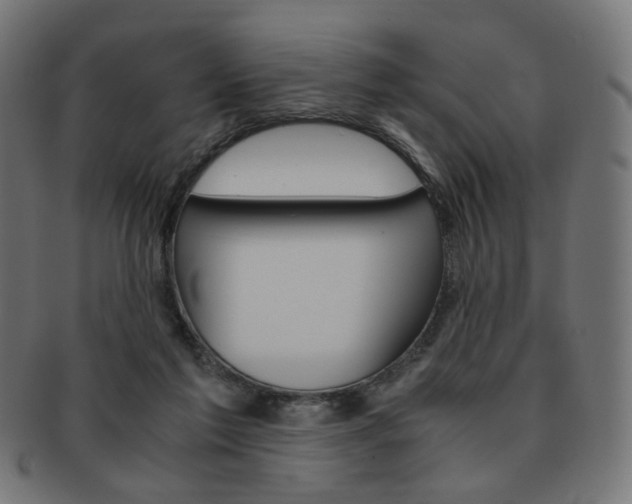 X0000092020213200709061336