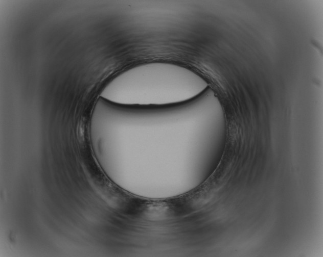 X0000092020214200709061336
