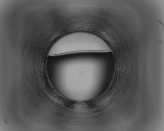 X0000092020215200709061336