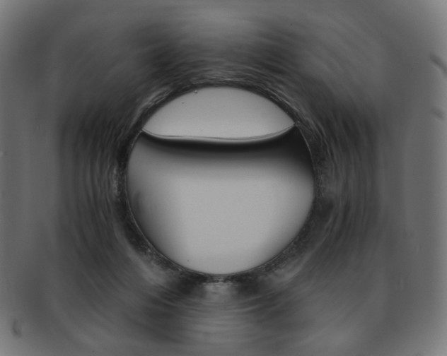 X0000092020216200709061336