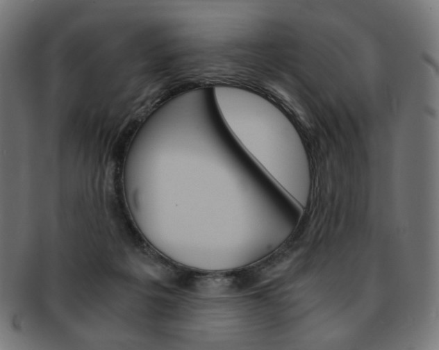 X0000092020217200709061336