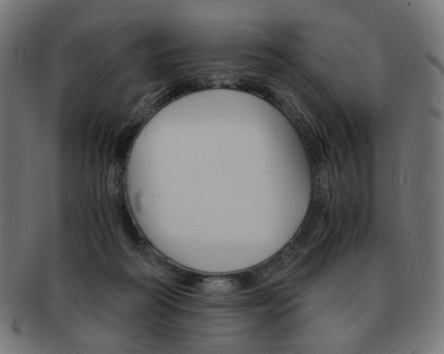 X0000092020218200709061336