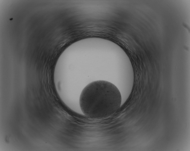 X0000092020219200709061336