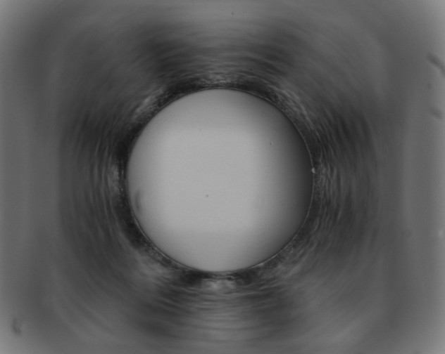 X0000092020220200709061336