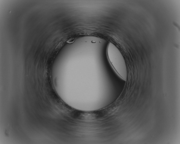 X0000092020221200709061336