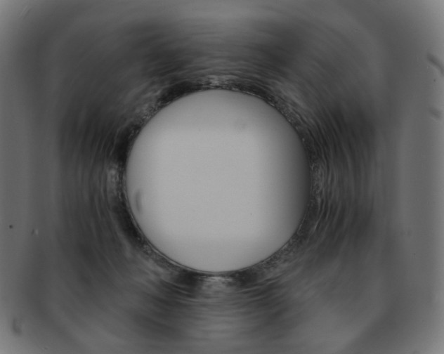 X0000092020222200709061336