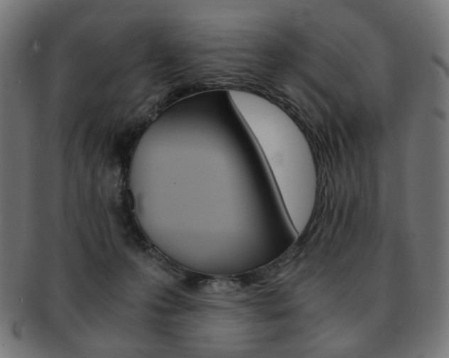 X0000092020223200709061336