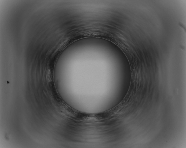 X0000092020224200709061336