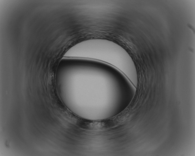 X0000092020225200709061336