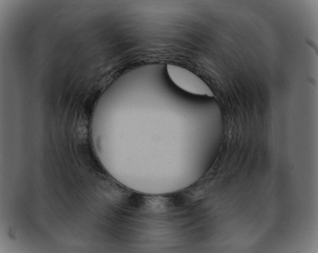 X0000092020226200709061336