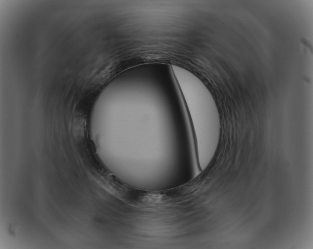 X0000092020227200709061336