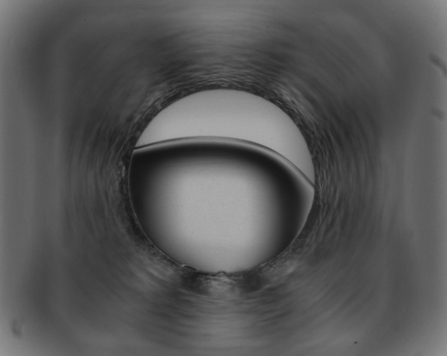 X0000092020229200709061336