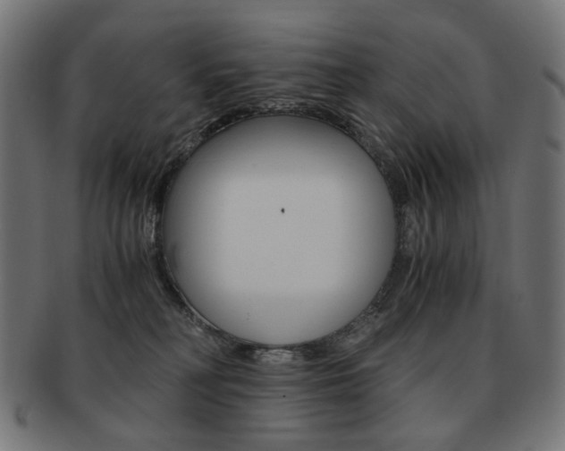 X0000092020230200709061336