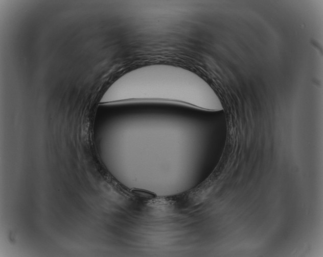 X0000092020231200709061336