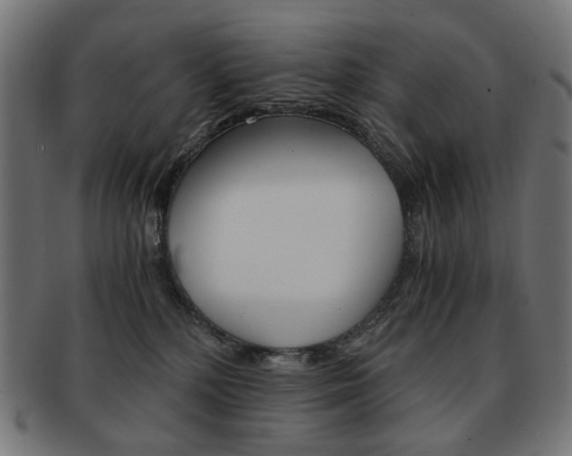 X0000092020232200709061336