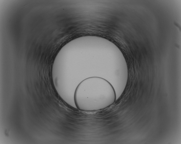 X0000092020233200709061336