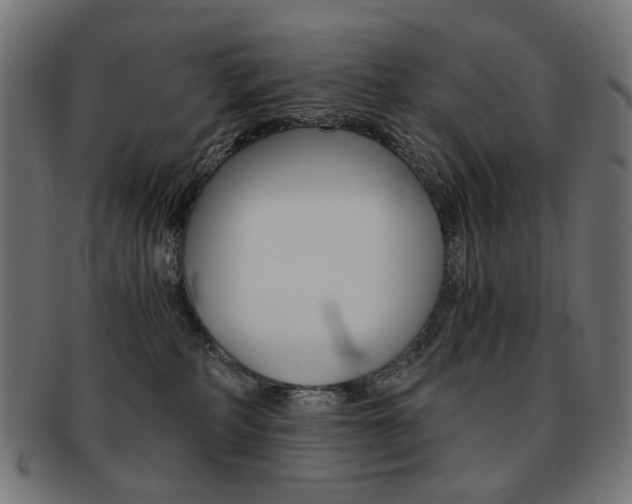 X0000092020234200709061336