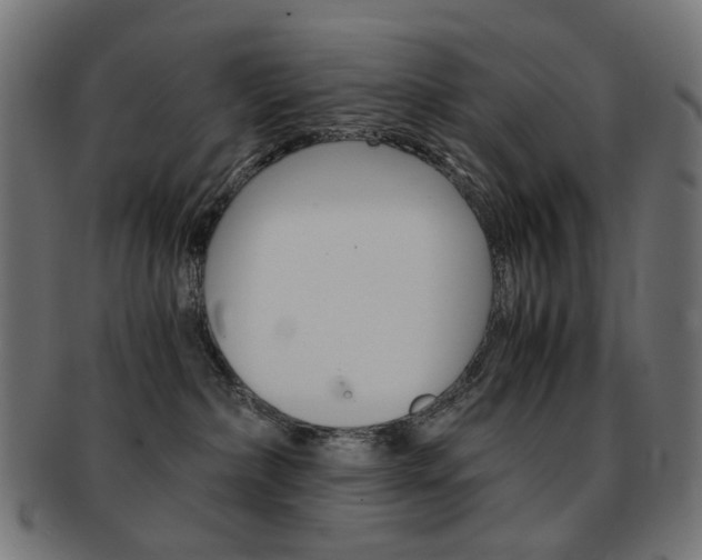 X0000092020236200709061336