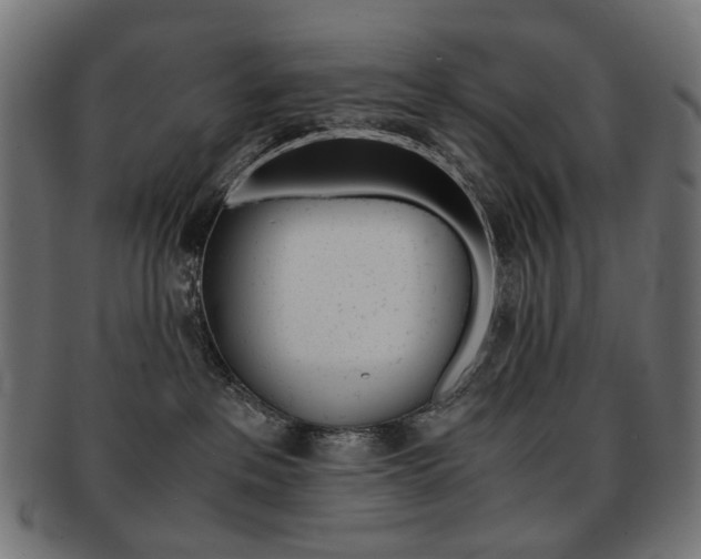 X0000092020237200709061336