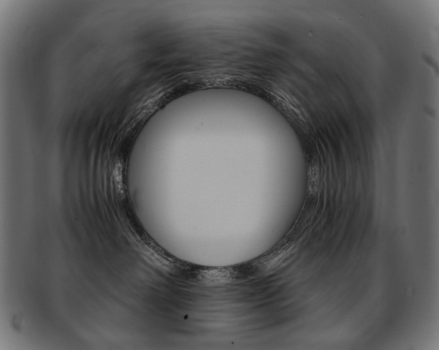 X0000092020238200709061336