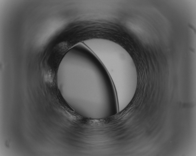 X0000092020239200709061336