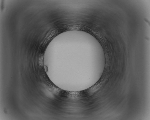 X0000092020240200709061336