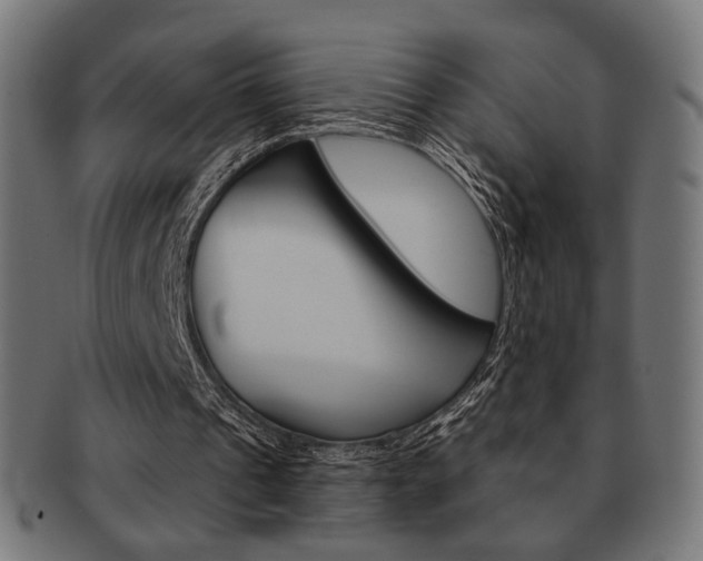 X0000092020241200709061335