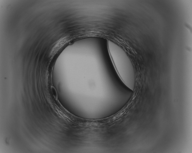 X0000092020242200709061335
