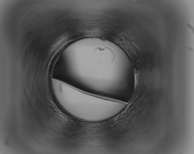 X0000092020243200709061335