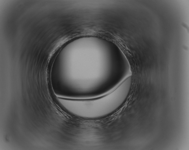 X0000092020244200709061335