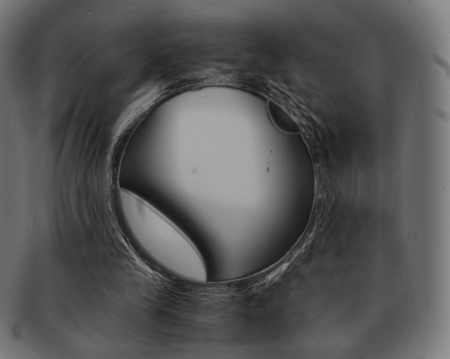 X0000092020245200709061335