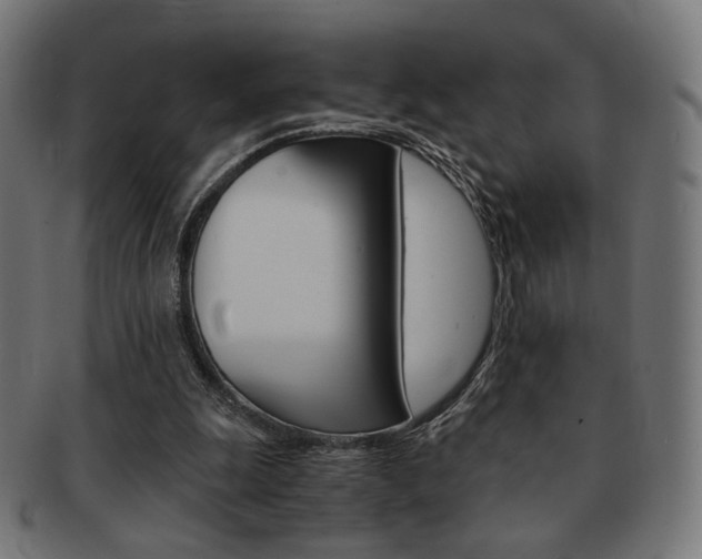 X0000092020247200709061335