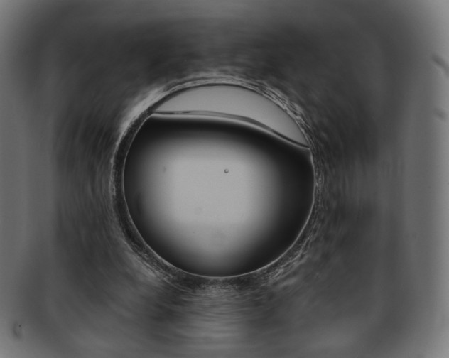 X0000092020248200709061335