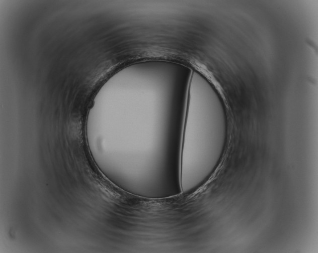 X0000092020249200709061335