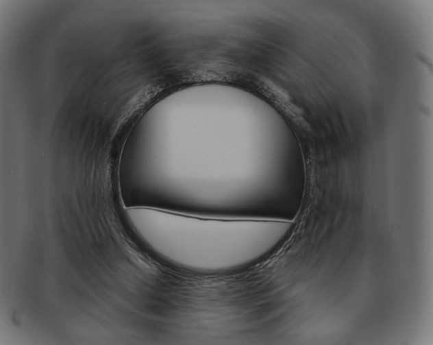 X0000092020250200709061335