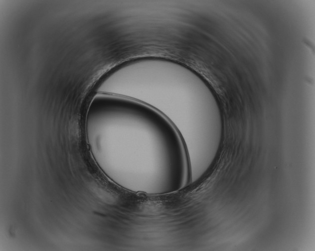 X0000092020252200709061335
