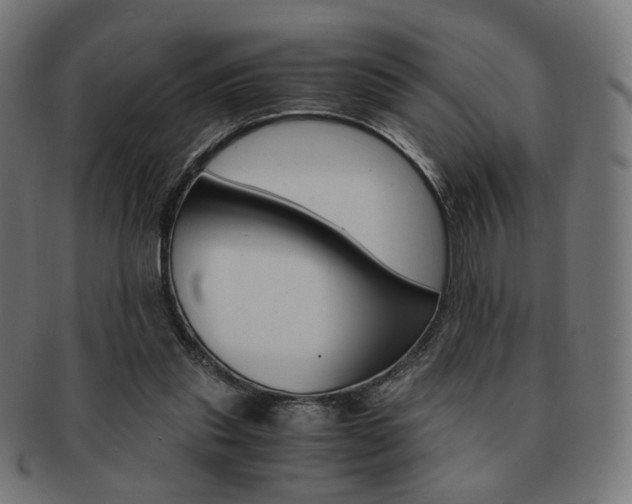 X0000092020253200709061335