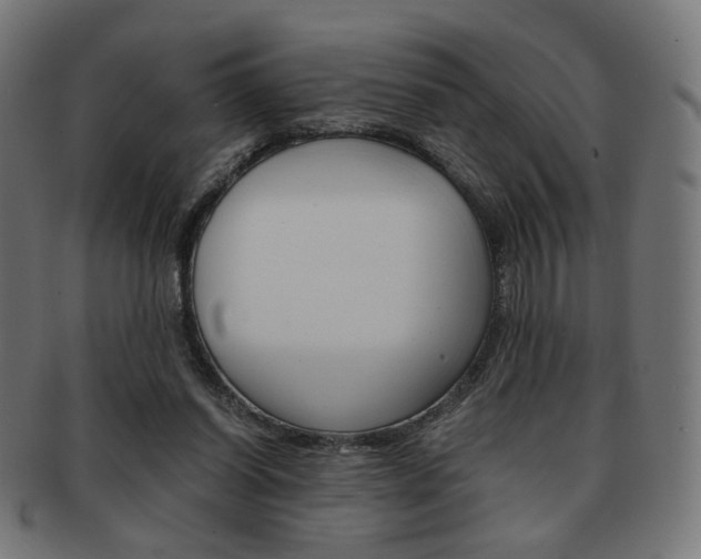 X0000092020254200709061335