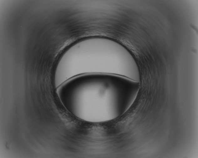 X0000092020256200709061335