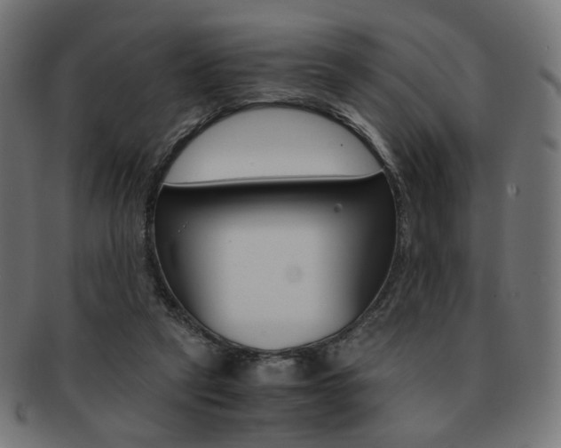 X0000092020257200709061335