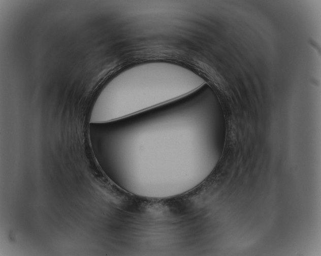 X0000092020258200709061335