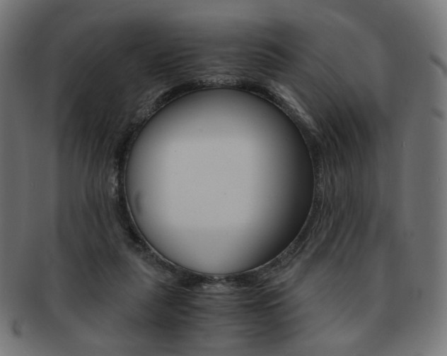 X0000092020259200709061336