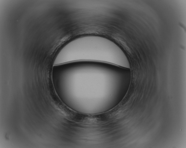 X0000092020260200709061336